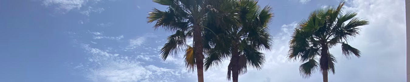 Blauwe lucht met fijne wolken en drie palmboomstammen benadrukken tropische sfeer vakantiehuis mallorca